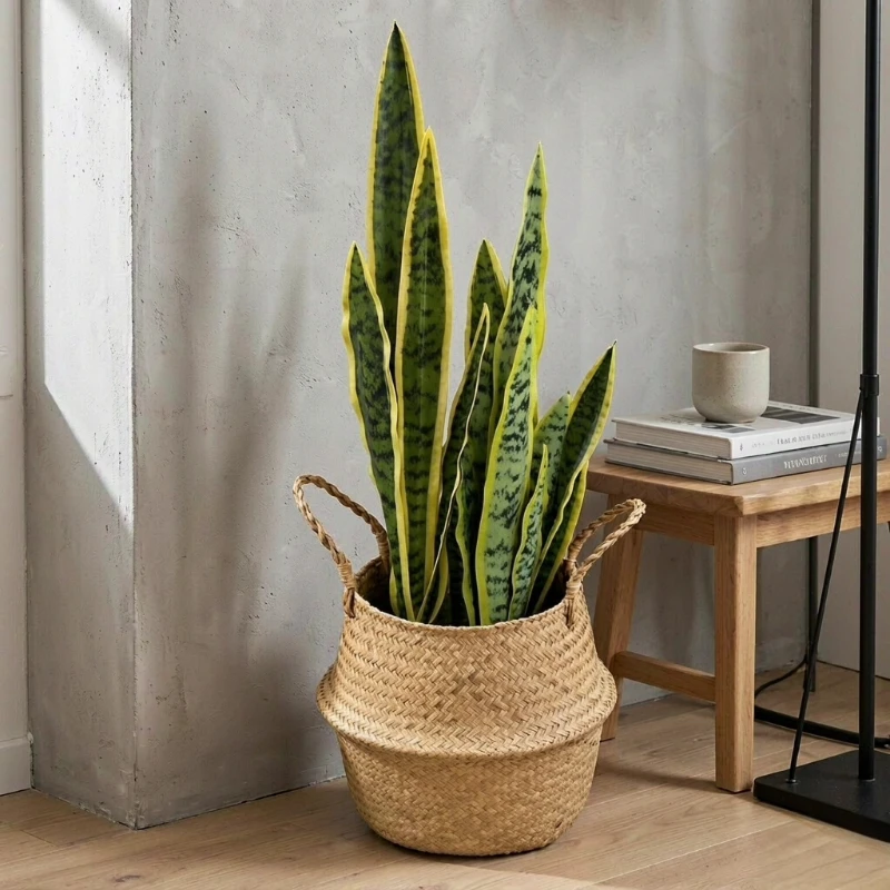 2pcs artificial hupilan potted plants, simulated agave sisal bonsai, uv resistant faux greenery potted ornaments, indoor living