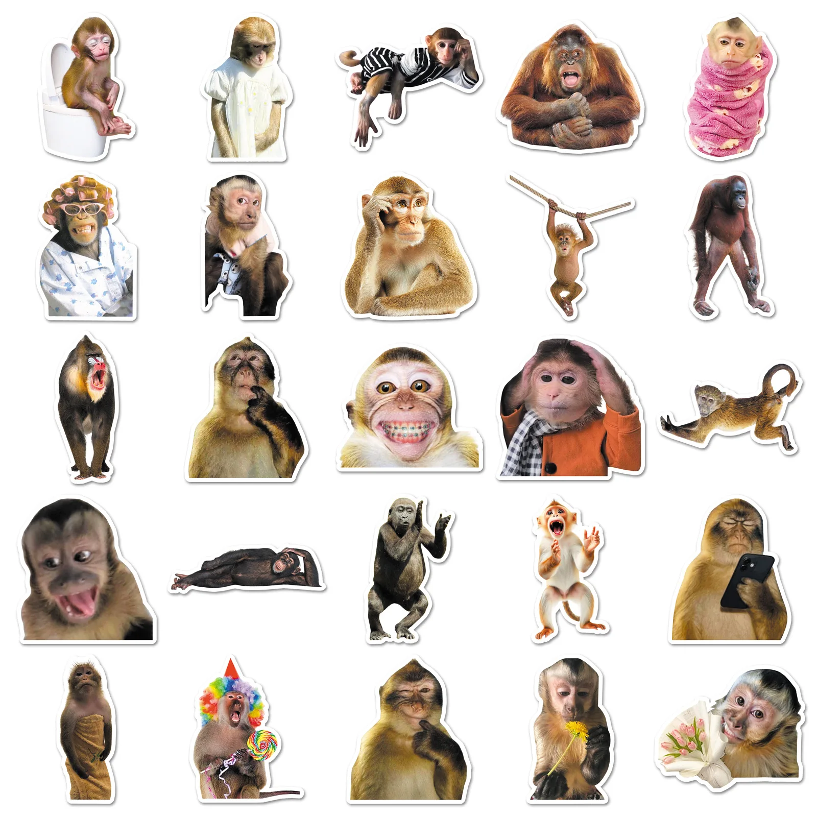 

50PCS Funny Monkey Chimpanzees Meme Stickers Realistic Graffiti Decoration DIY Notebook Suitcase Guitar Refrigerator Toys Decals