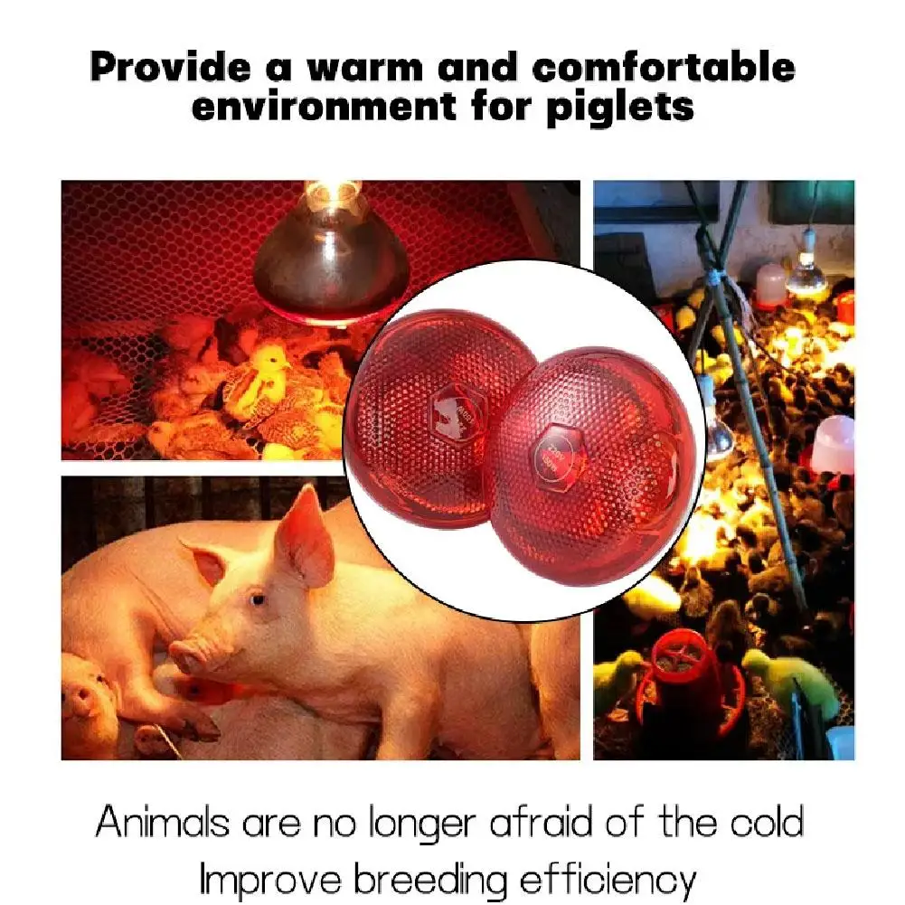 100w 150w 175w 200w 250w 275w Pet Red Heating Lamp Day Night For Amphibian Snake Lamp Heat Reptile Bulb UV Light