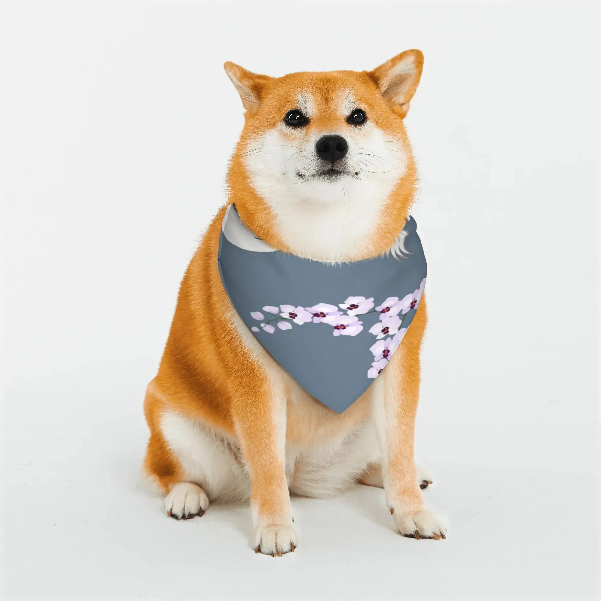 teestsccsccsss ssssss1031 sssteestsccsccsss ssssss1031 sss