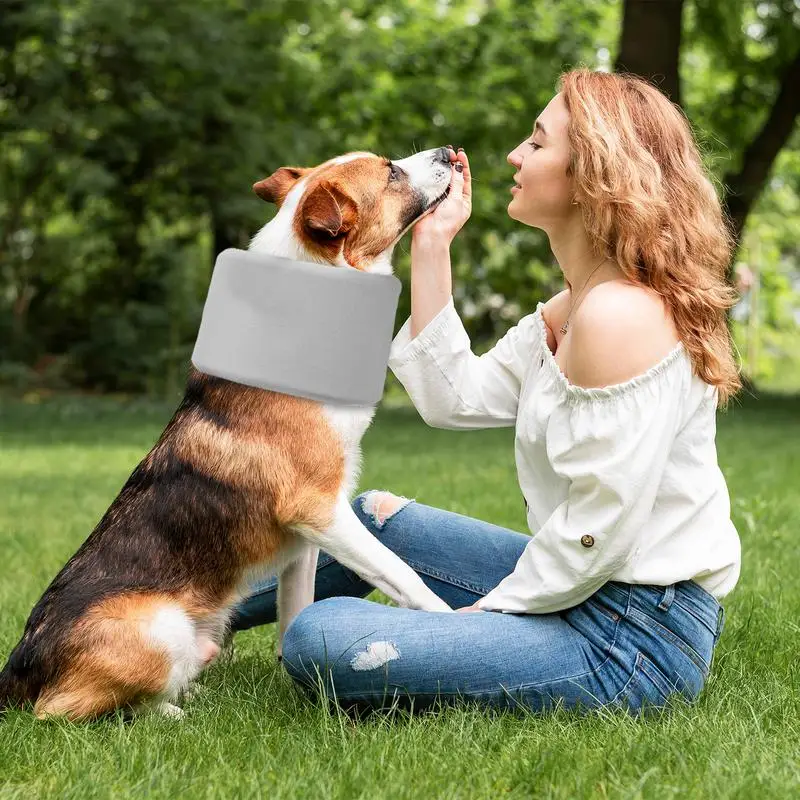 

Recovery Collar For Dogs Adjustable Anti Lick Collar For Dogs Prevent Pets From Touching Stitches Wound Care Anti-Lick Shield