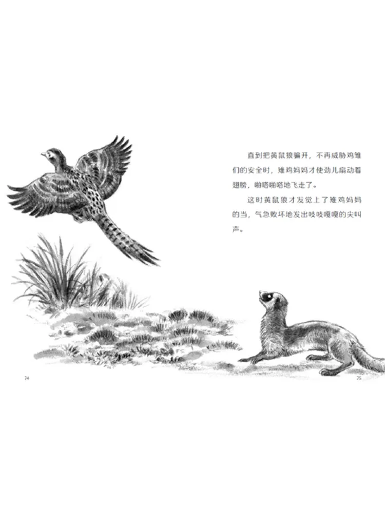 Book-Winshare Ten Classic Works By the Japanese Animal Novel Master Shujiro Tsuruya