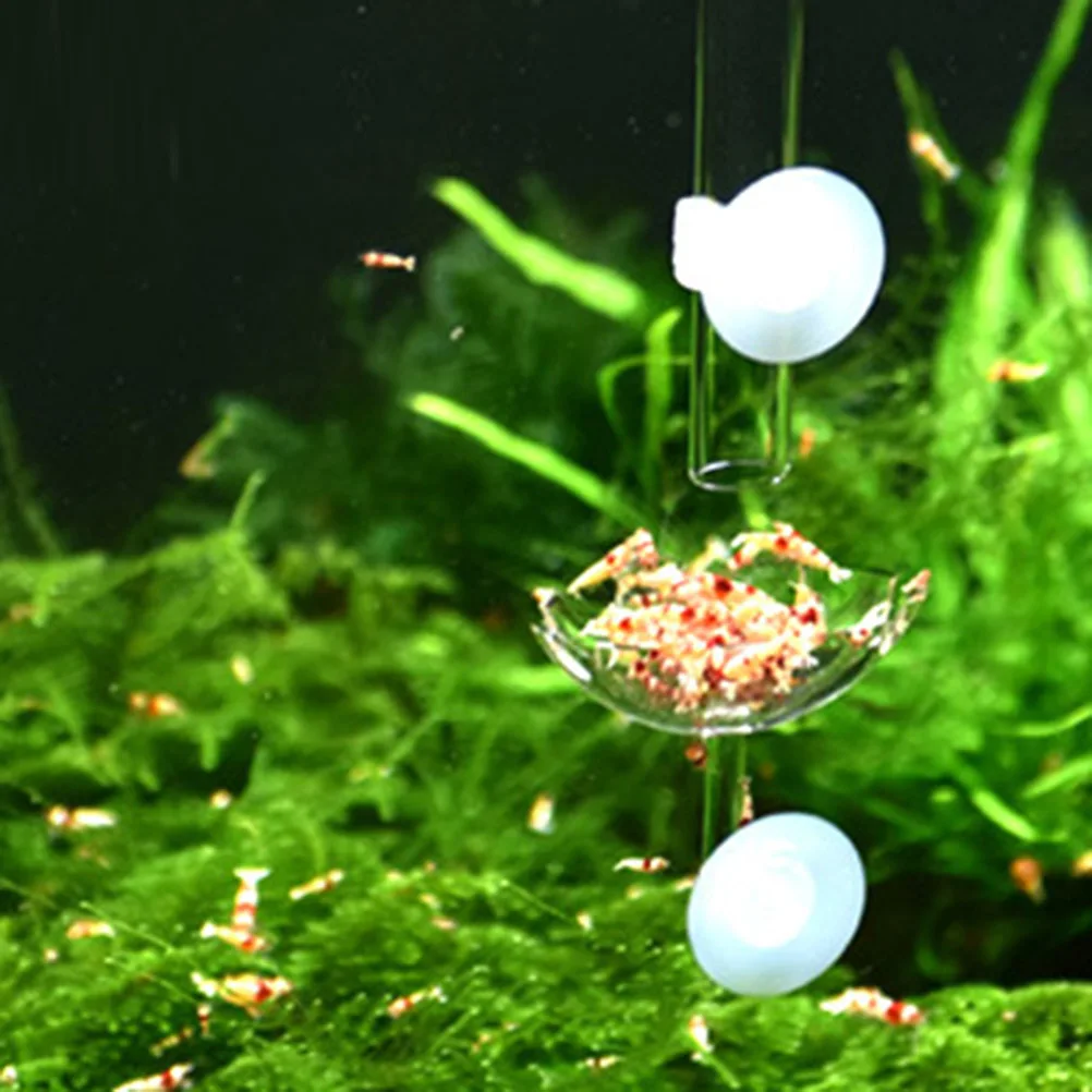 

Shrimp Food Basin Acrylic Feeding Bowl Safe Reliable Aquarium Decorative Supplies for Pets Shrimp Food Dishes Feeder Bowl