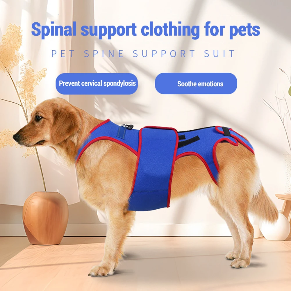 

1PCS Dog Back Brace For Dogs Arthritis IVDD Spinal Recovery Back Disease Prevention For Small Dogs And Large Dogs S/M/L/XL