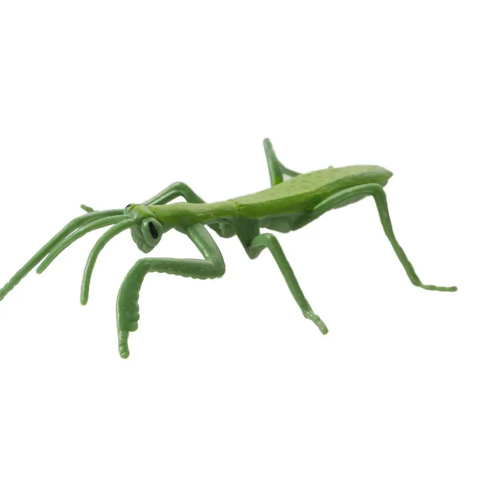 Ciência realista Shopper Brinquedos para Crianças, Praying Mantis Toy, Caracol Crescimento Ciclo Figuras Ciclo de Vida, Ciclo Mantis estatueta