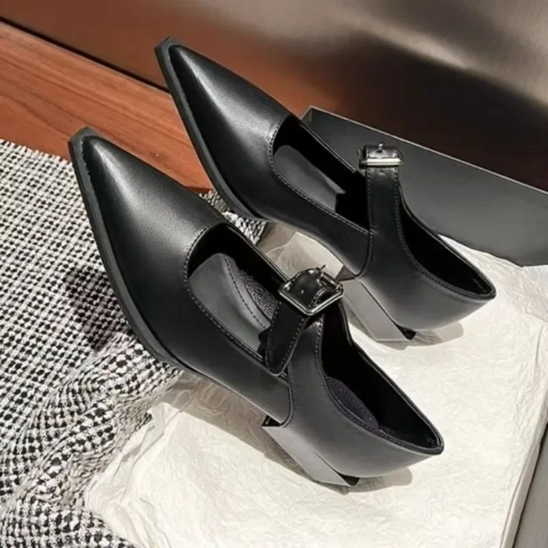 Korean Style Thick Heel Pointed Single Shoe 2025 New Niche Design Belt Buckle Shallow Mouth Mary Jane Shoes Small Leather Shoes