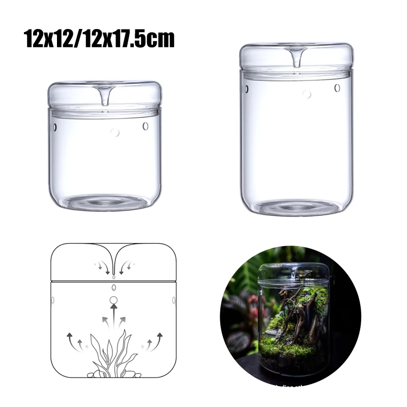 New！Micro Landscape Glass Bottle Creative Dew Collection Vase Succulent Moss Bansai Landscape Glass Terrarium Decorations Bottle