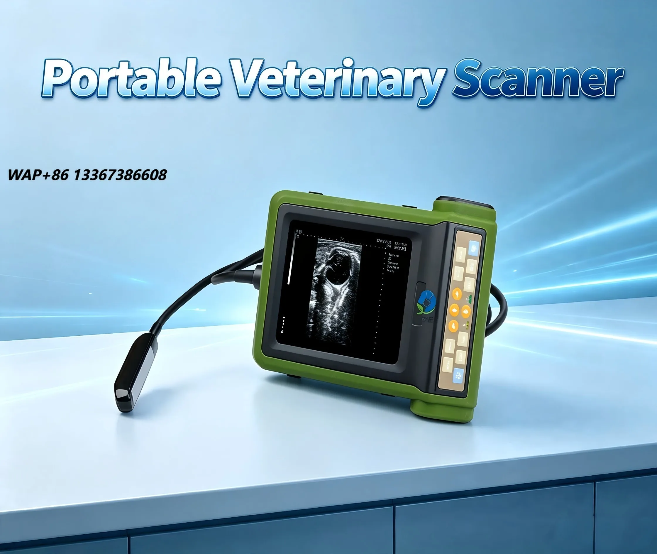 EUR VET Veterinary Equipment Laptop Ultrasound Machine Portable Diagnostic Scanner for Small and Large Animal Examination