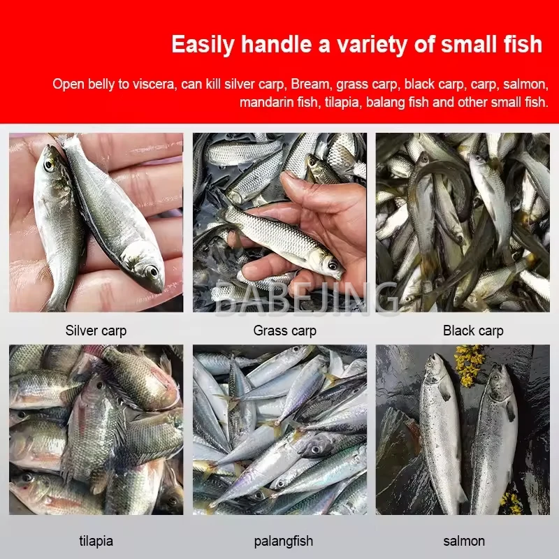 آلة قطع الأسماك الصغيرة الأوتوماتيكية بالكامل من BABEJING / آلات تجهيز الأسماك من الفولاذ المقاوم للصدأ