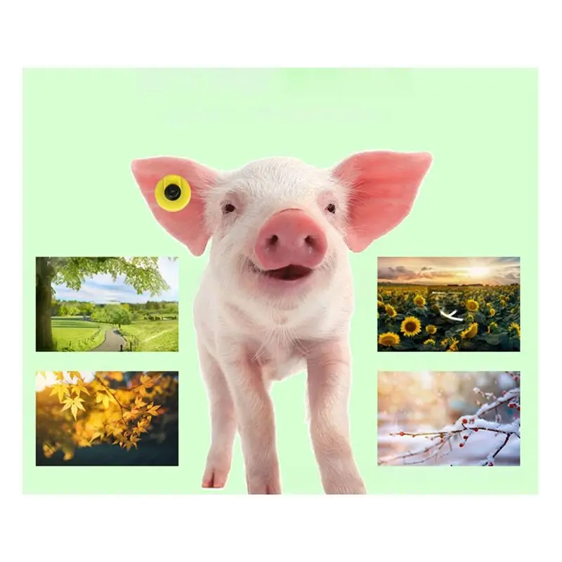 [NEW!A25P】 New RFID Ear Tags(50PCS) 134.2Khz EM4305 Chip ISO11784 FDX-B Standard For Animal Management Tracking System
