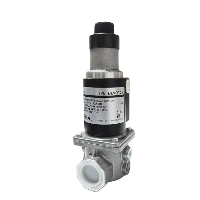Automatic Industrial Gas Solenoid Valve Slow Opening RP3/8-RP2 Threaded Diameter Shutoff OEM Customizable Gas Burner Spare Parts