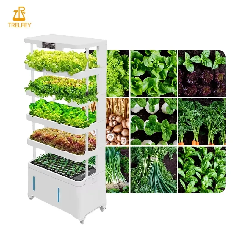 Indoor Hydroponic Growing System with Auto Water Cycle Timer and Adjustable LED Light for Home Garden Lettuce Blueberry