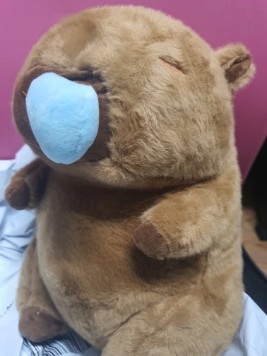 구매후기