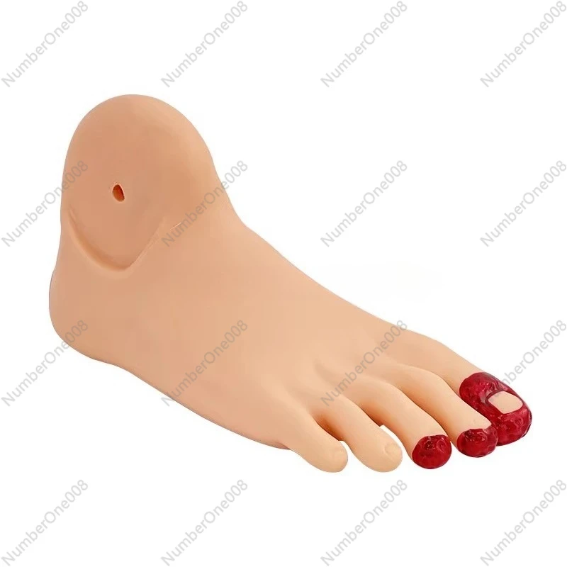 

Diabetes Bing Foot Nursing Model, The Elderly Foot Disease Nursing Model, Deformed Foot Mold