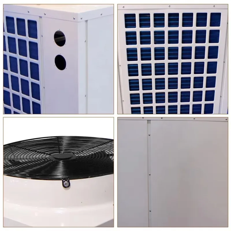 Bomba de Calor Comercial Personalizada de 10kw para Piscina, Fonte de Ar para Água