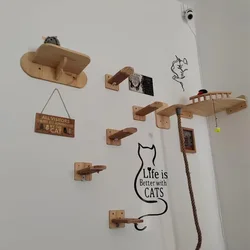 Muebles pared para gatos: rascador, hamaca y estantes de escalada