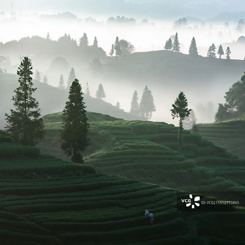 

MJX H12P 1/12 Бесщеточные водонепроницаемые внедорожные радиоуправляемые грузовики 4X4 с портальными осями, лицензированный радиоуправляемый грузовик с жестким футляром для взрослых