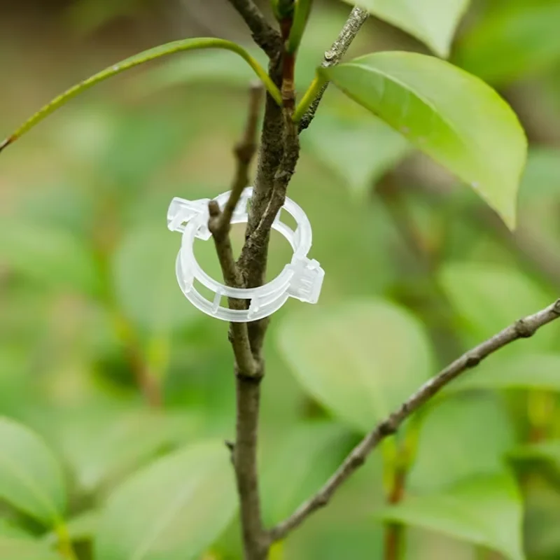50/100pcs Plastic Plant Clips, Supports Connects, Reusable Protection Grafting Fixing Tool, Gardening Supplies For Vegetable