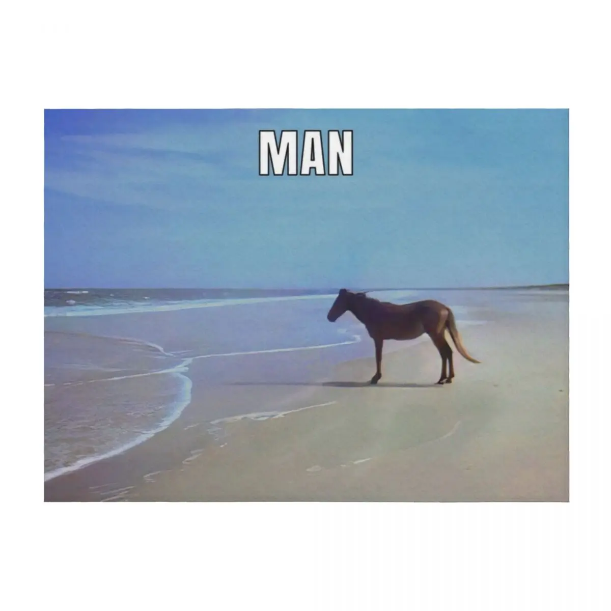 

Man  HD / Horse on Beach Meme Throw Blanket for sofa Decorative Sofa Designers Blankets For Sofas Blankets