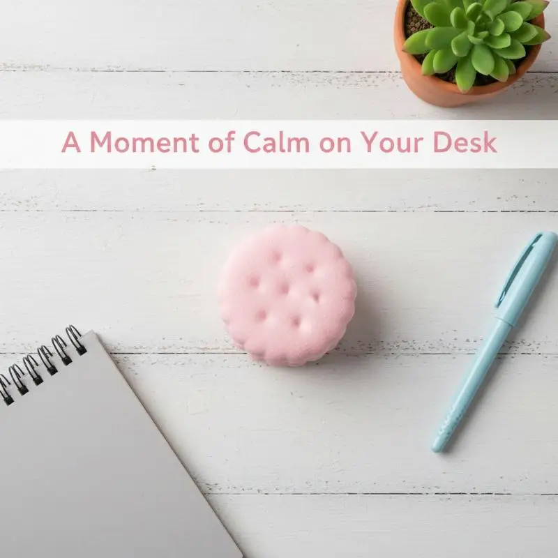 Slow Rising  Biscuit Fidget Toy Soft Touch Realistic Design Great For Stress Relief Kids Adults