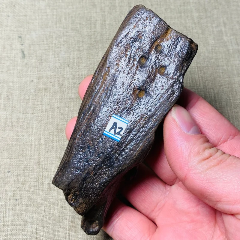 Natural Stick Specimen Genuine Cosmic Mineral Collectible for Rock Enthusiasts Home Decoration