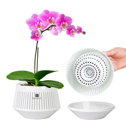 Meshpot Orchid Pot with Multi Drainage Holes Orchid Planter for Repotting Home Decor Flower Pot with Saucer for Indoor and Outdo
