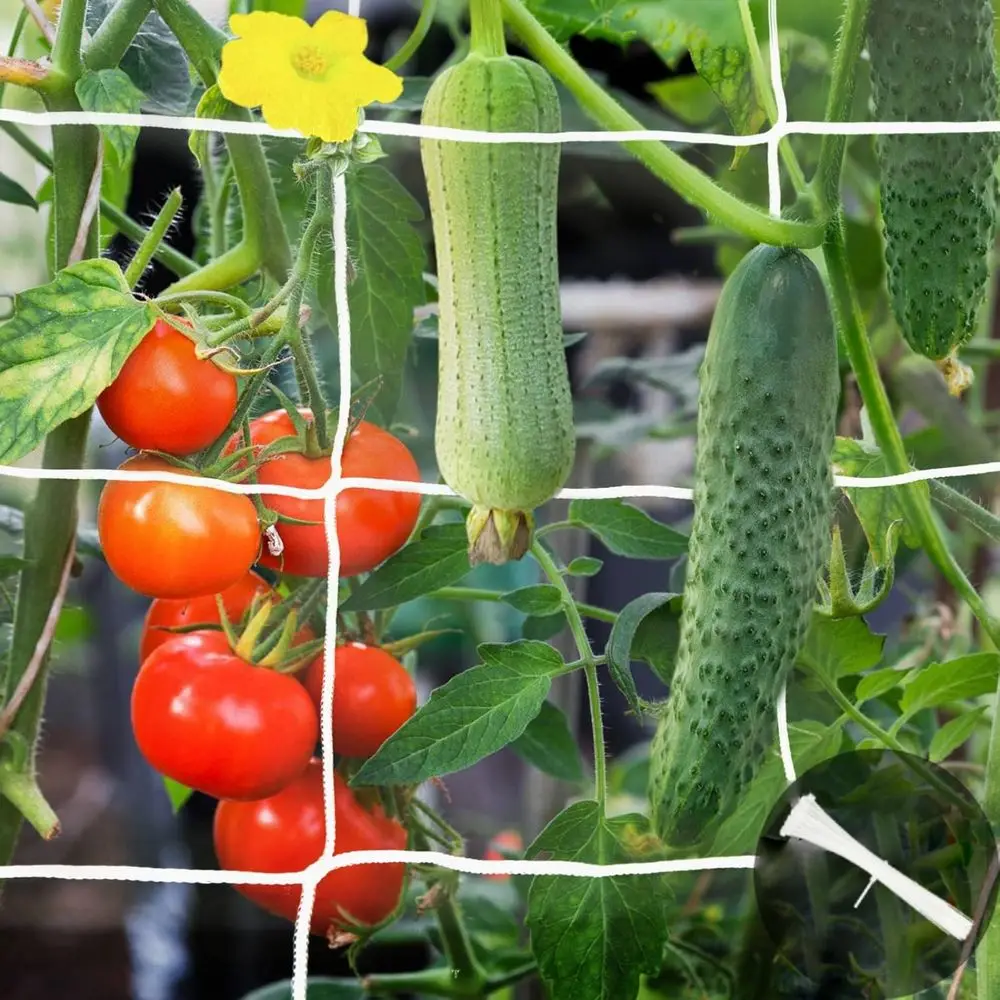 2 Pack 5x15 ft Heavy Duty Garden Trellis Netting, Square Mesh Outdoor Grow Net or Support for Vine Vegetables and Fruits with 50