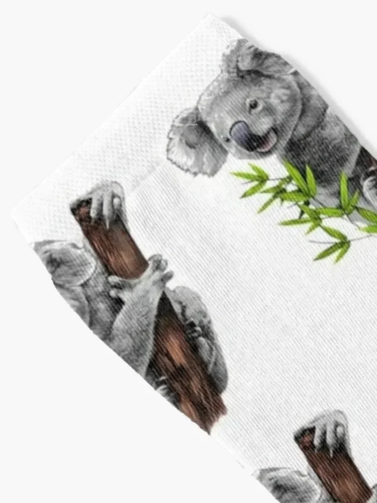 Koala Socks shoes ankle Men's Socks Luxury Women's