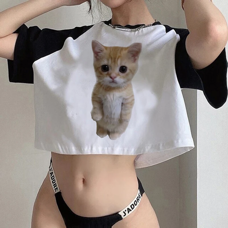 Hip Hop Crop Top Y2k 90s Funny Cute Cat T Shirt Women Shirt Harajuku Graphic Ulzzang T-shirt 90s Tshirt Top Tee Female Cropped