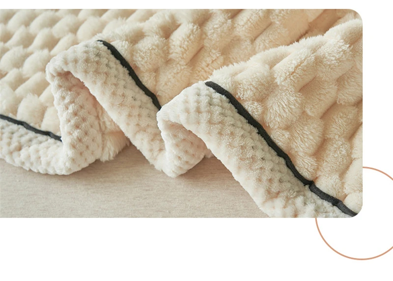 Turtle Velvet Spring Autumn Warm Blankets for Bed Soft Fluffy Comfortable Coral Velvet Throw Blanket Sofa Single Double Blanket