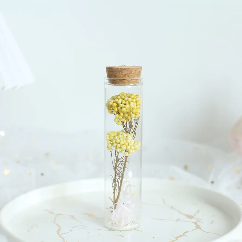 Mini bouteille de Press avec tube à essai en verre, fleur séchée, rose, gypsophile importale, compagnon créatif, cadeau de la journée de Léon, fleur Sechee