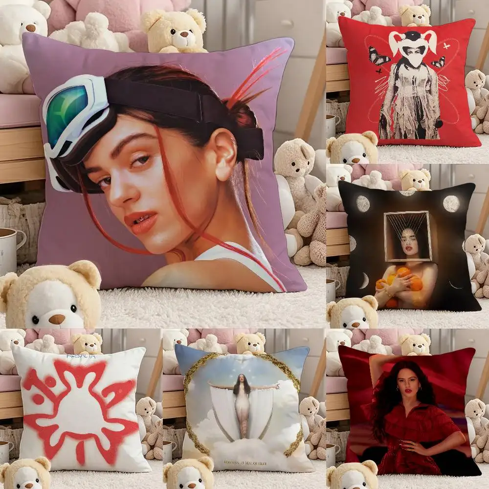 

Hot R-Rosalia Singer Pillow Case Comfort Sofa Bed Silky Elegant Invisible Zipper Custom Decorative Cushion Cover