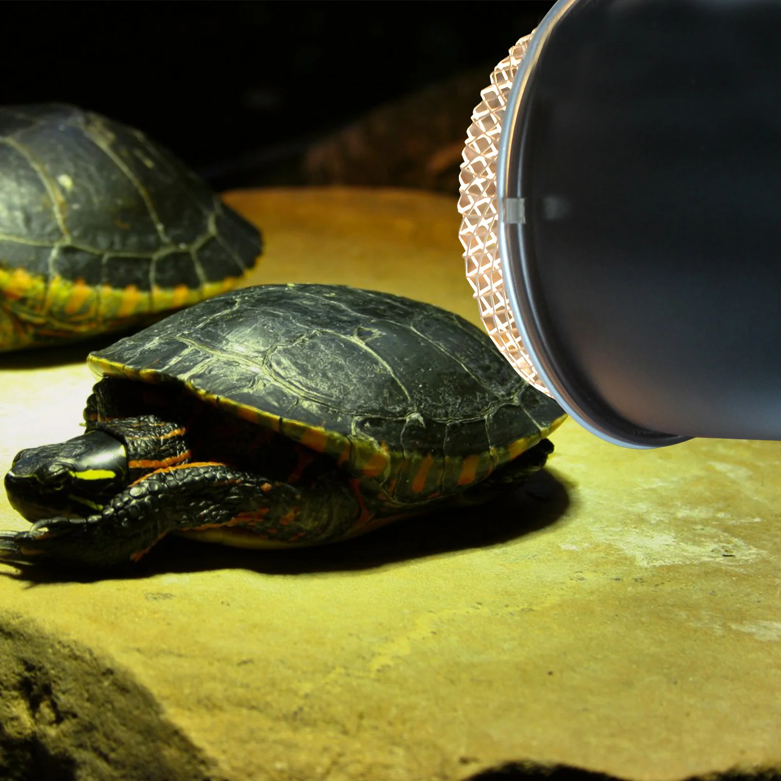 

Strong Stainless Steel Reptile Lampshade for Heat Mesh Cover Shield Reptile Enclosure Lighting Safety Essential