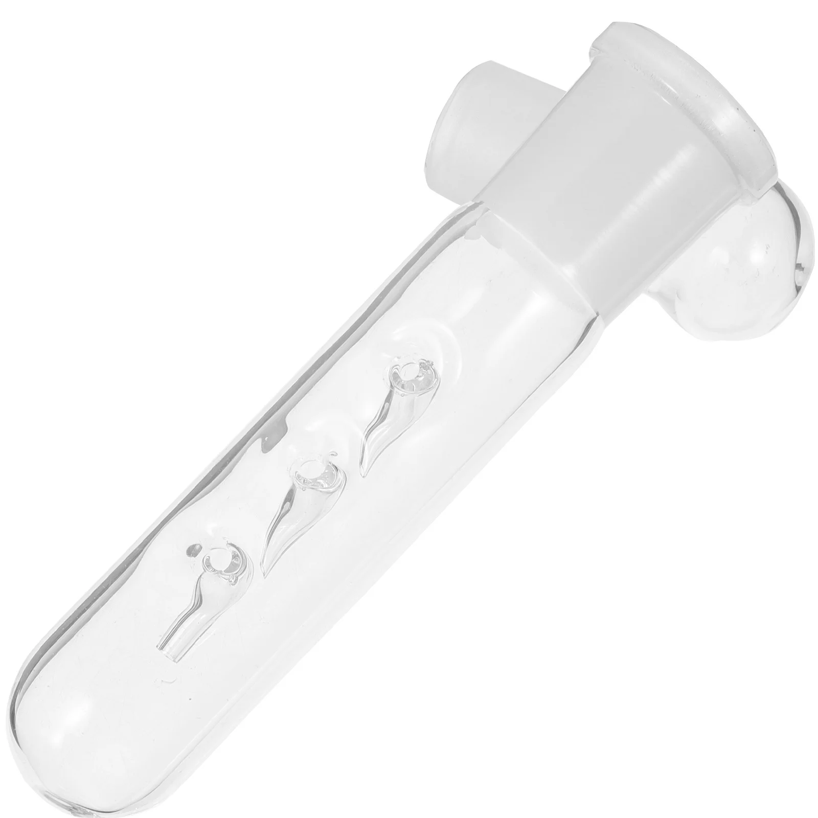 

Fish Tank Snail Trap Glass Flatworm Catcher Aquarium Planaria Catcher Natural Worm Trap Fish Tank Worm Catchers