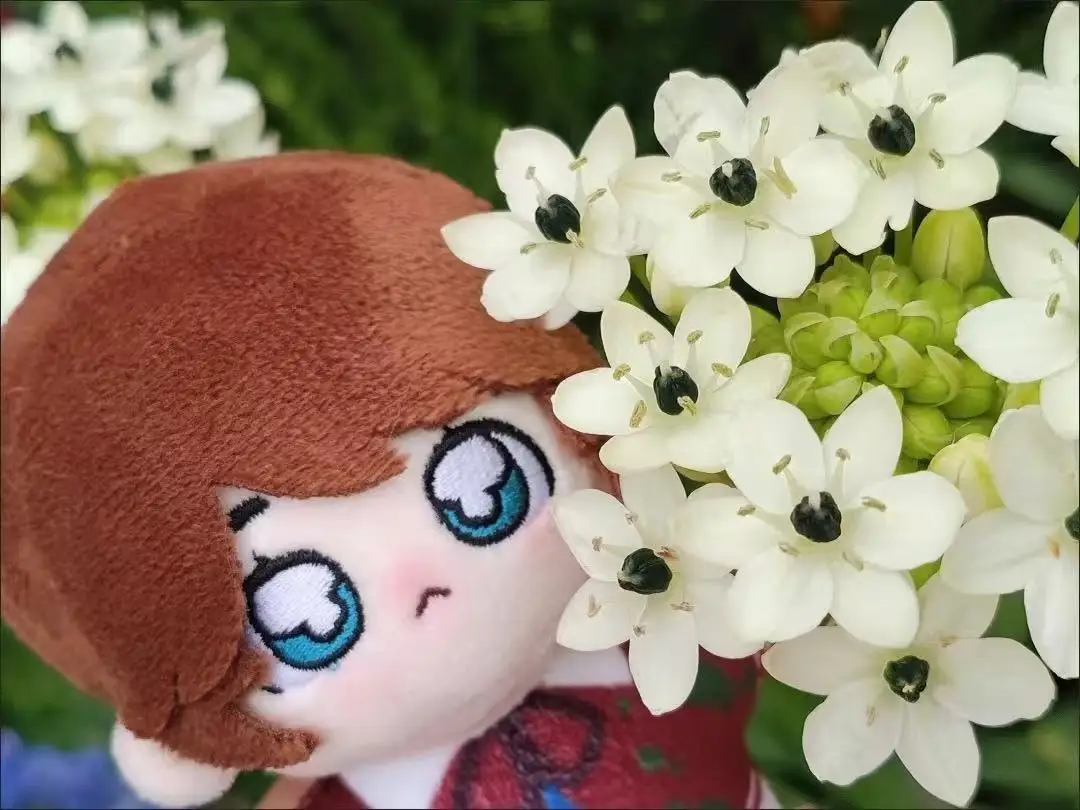 Anime Game Identity V 10 cm Cosplay Schilder Edgar Valden Schattige Pluche Pop Lichaam Rugzak Hanger Knuffels Sleutelhanger Geschenken