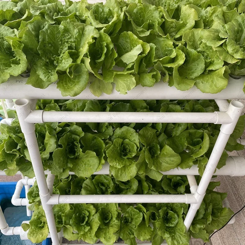 Balcony Soilless Cultivation, Pipeline Planting Equipment, School Teaching and Research, Hydroponic Equipment