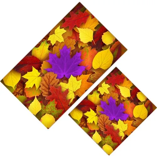 Cici Design Autumn Color Plane Leaves Closet Takımı-60x100-50x60