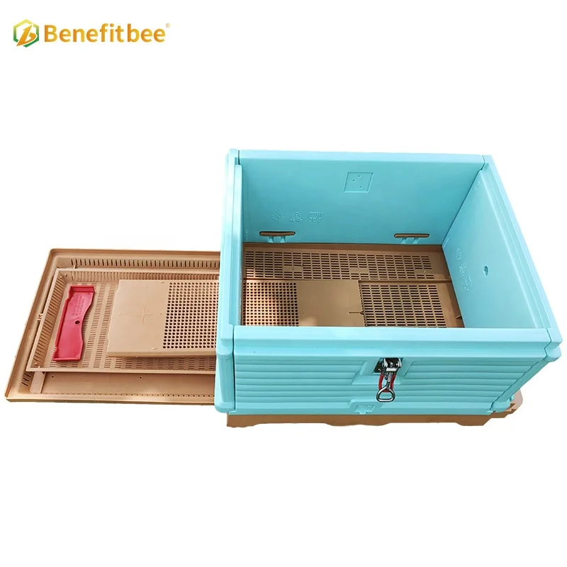 Benefitbee one layer 10 frames Langstroth beekeeping plastic bee hive box for beekeepers