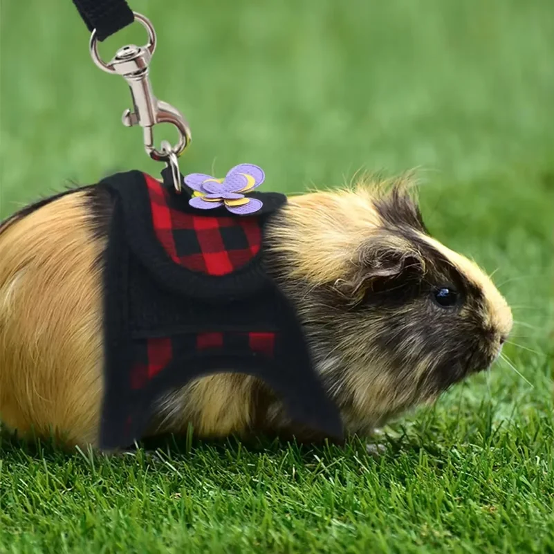 Correa de pecho de dos patas para mascotas pequeñas, cuerda de tracción para uso en exteriores, ropa para chinchillas y cobayas holandesas, corsé de mezclilla transpirable.
