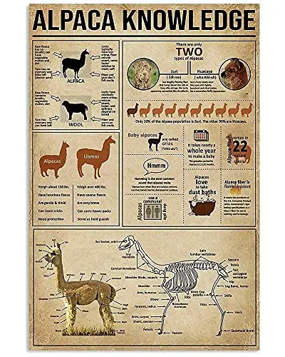 Colors of Greyhound Metal Tin Sign Dog Type Knowledge Poster Farm Family Club School Education Wall Decoration Plaque 12x16 Inch