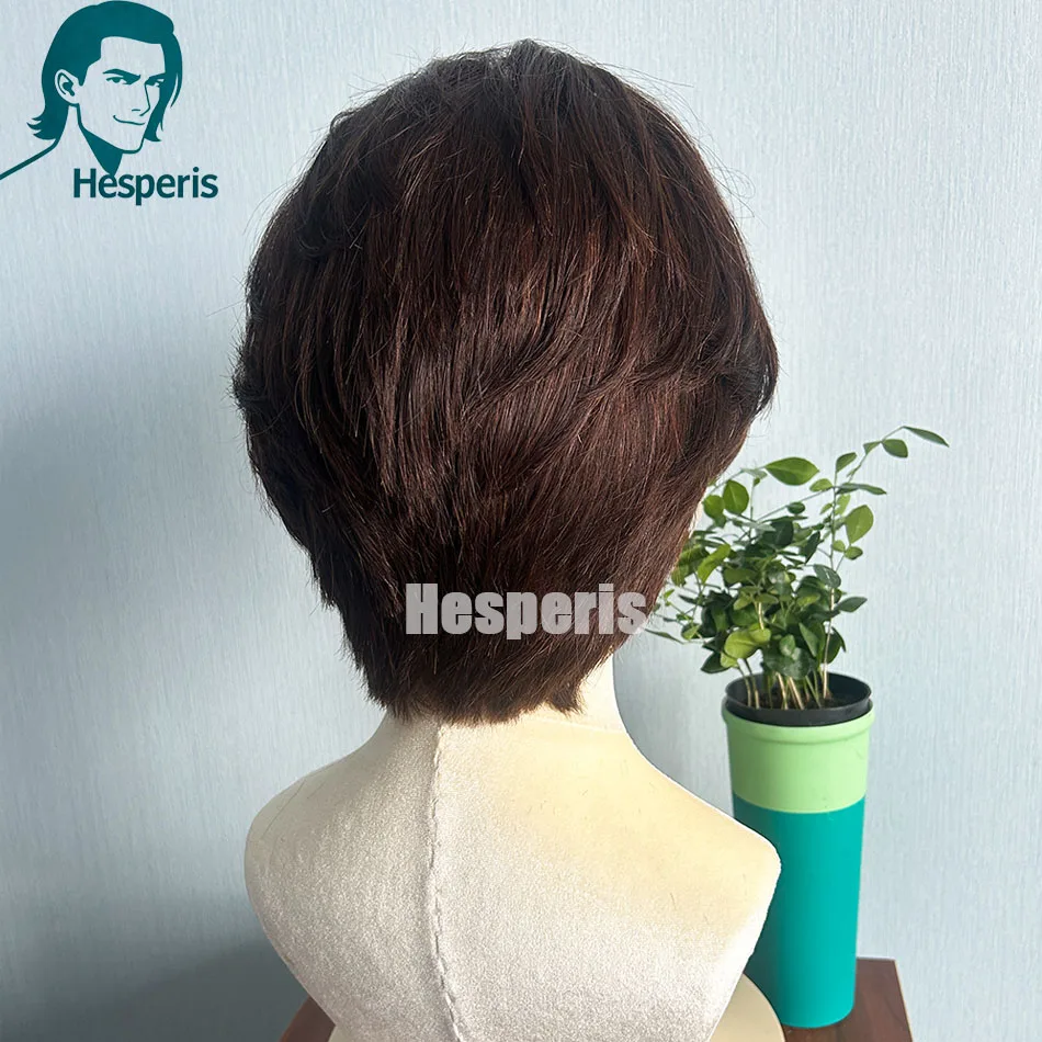 Hesperis براون قبل نمط شعر مستعار الذكور 13x6 الدانتيل شعر مستعار أمامي مع الانفجارات قصيرة قطع البرازيلي ريمي خصلات الشعر المستعار الإنسان للرجال عابث الباروكات