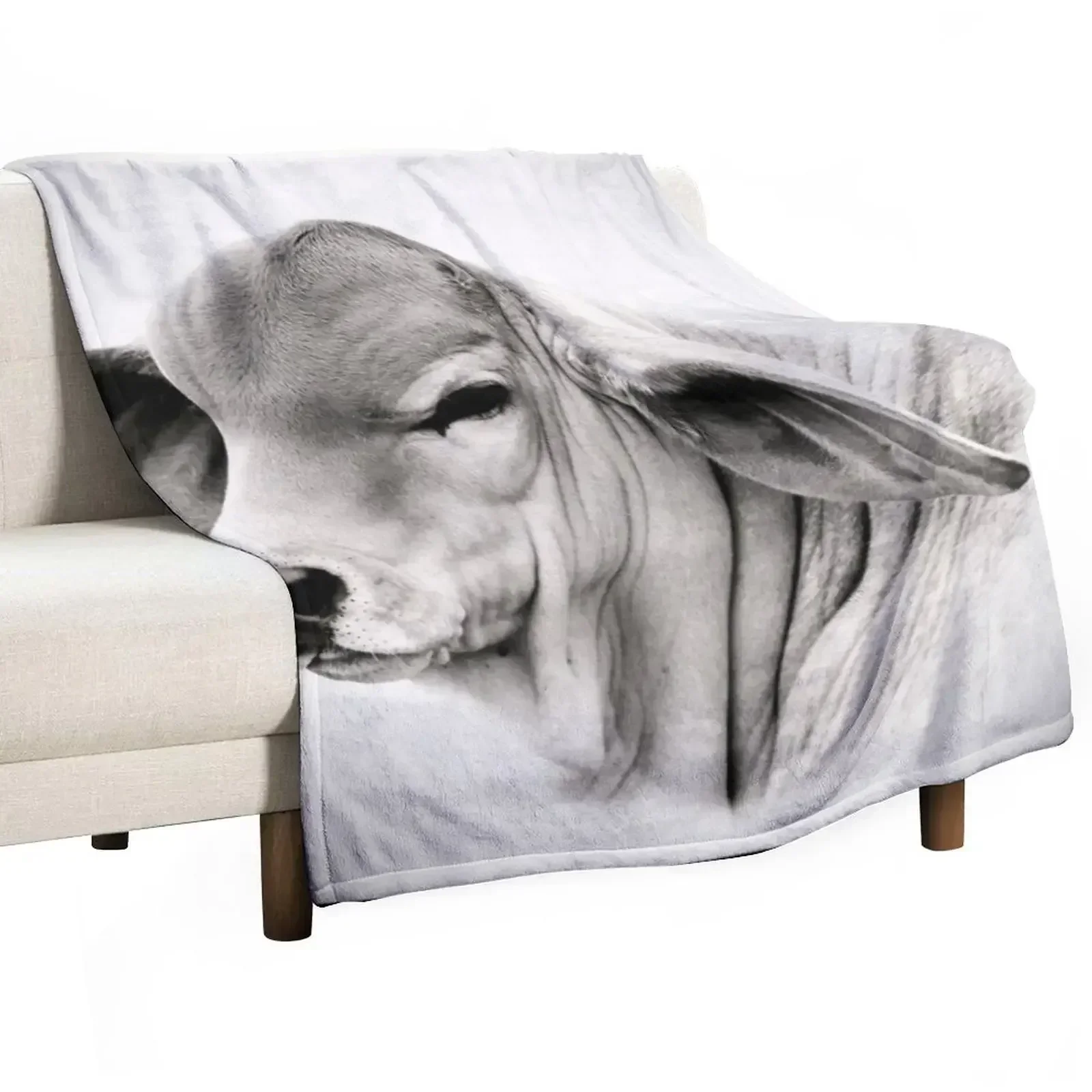 

BRAHMAN CALF, PORTRAIT, WALL ART Throw Blanket Blankets For Baby Soft Beds Blankets