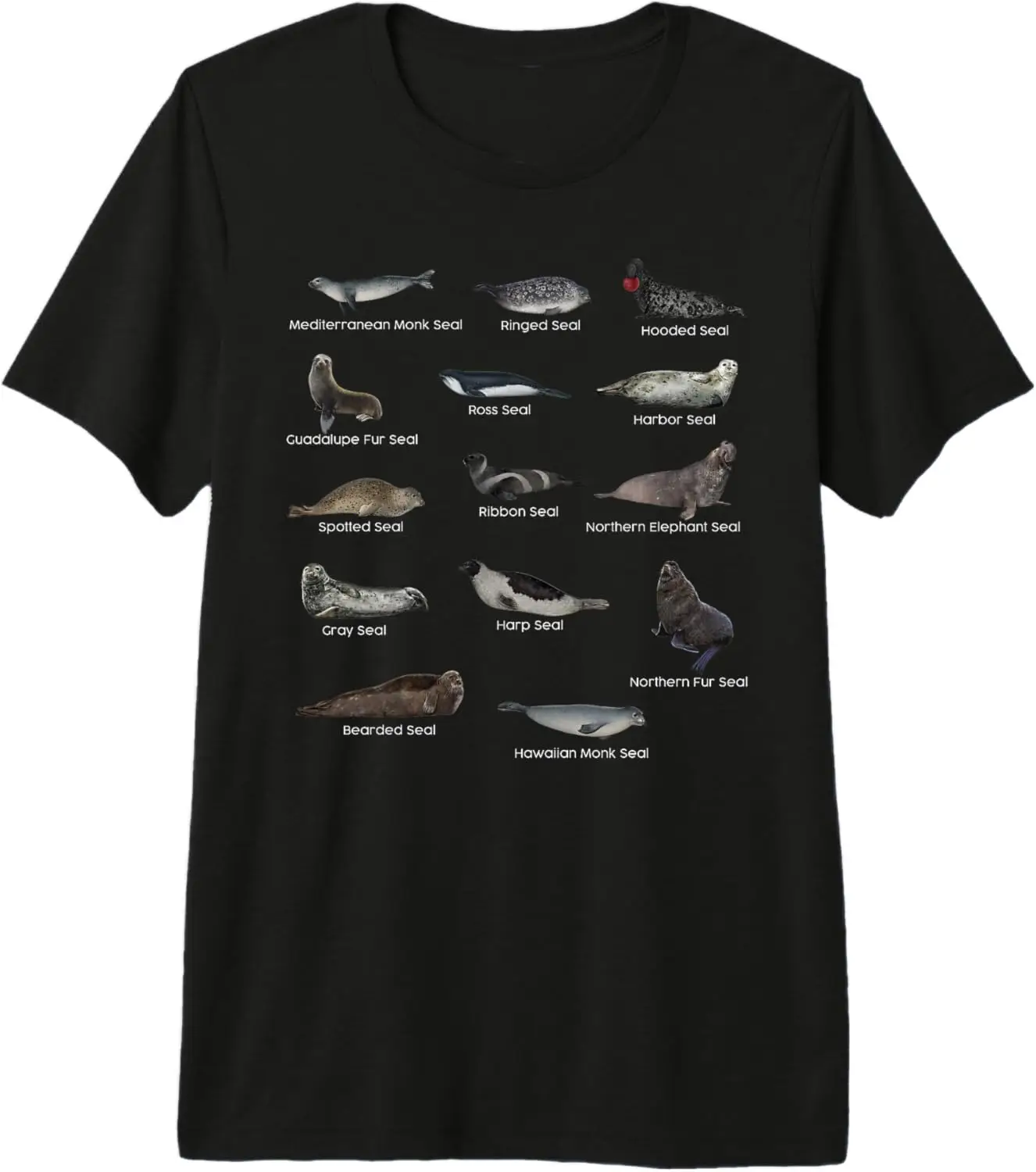 Seal Spcies Types Camiseta de manga corta con estampado gráfico Camiseta ligera de verano de algodón informal unisex