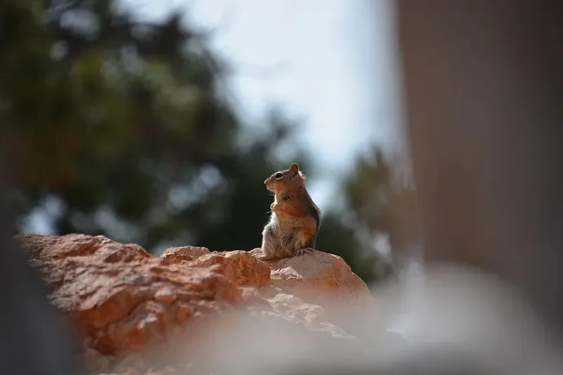 

35T 8T Steel Front Rear Differential Set ARA310990 for ARRMA 1/8 KRATON 1/7 BIGROCK EXB Upgrade Parts