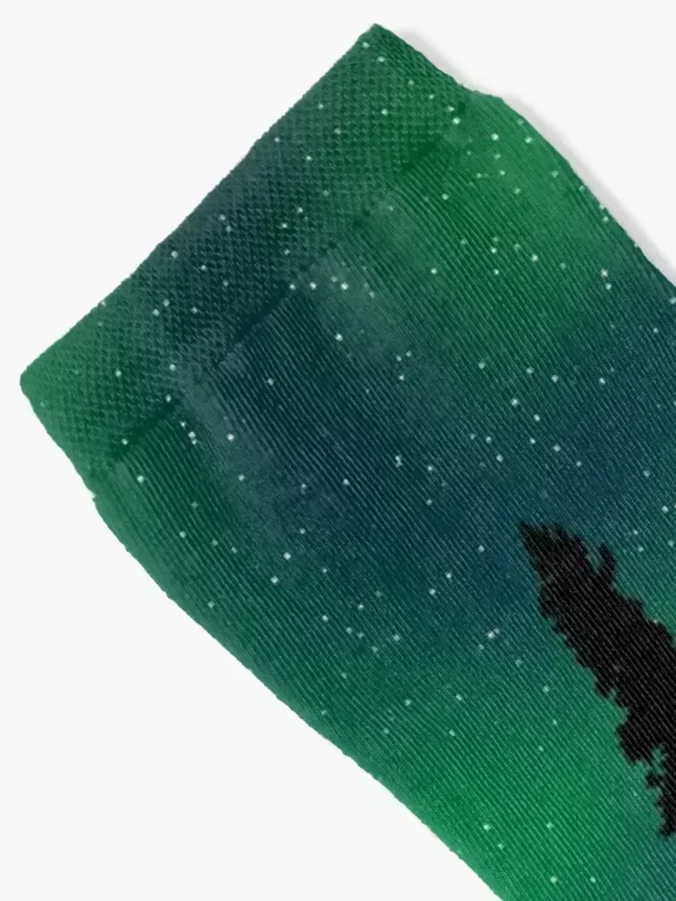 Northern Lights Over the Forest Socks heated Running sports and leisure Novelties Socks Ladies Men's