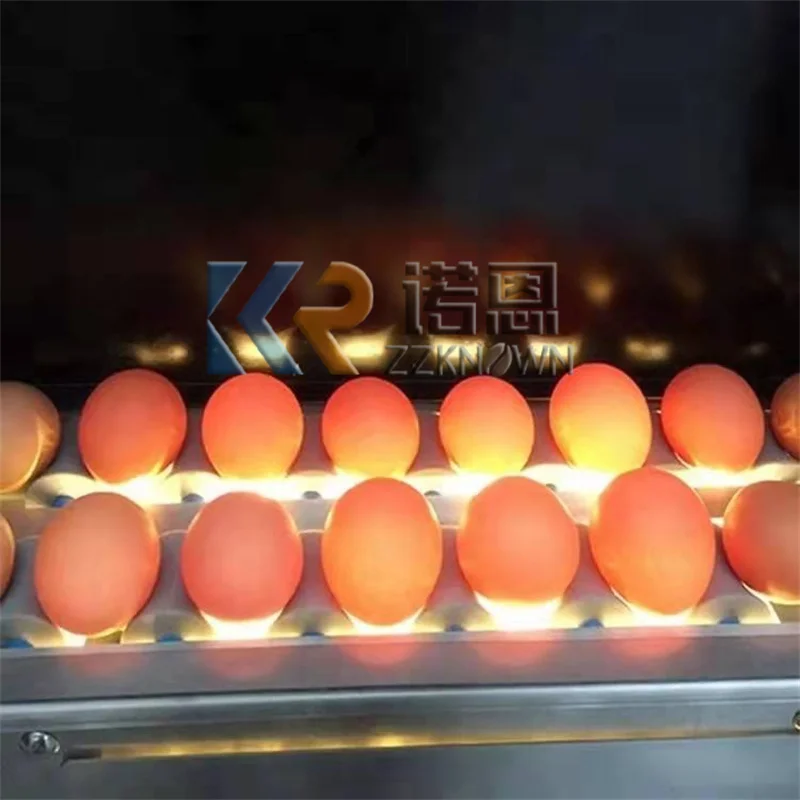 Multifunction Small Egg Grader Sorter Poultry Equipment Egg Washing Sorting Machine Chicken Duck Eggs Grading Machine For Sale