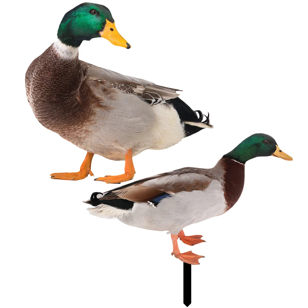 

2 Pcs Farm Three-dimensional Duck Decoration Animal Outdoor Garden Ornaments Animals