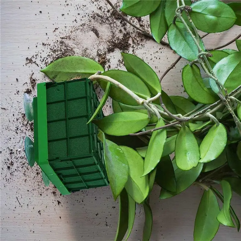 A32I 8 Pieces Cage Floral Foam for Flowers Square Floral Foam Cage Flower Holder with Floral Foam for Flowers Cage