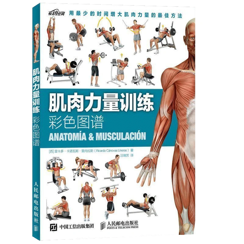 Muscle Strength Training Color Map Stretching Training Book Muscle Training Map Fat Reduction and Muscle Gain Book