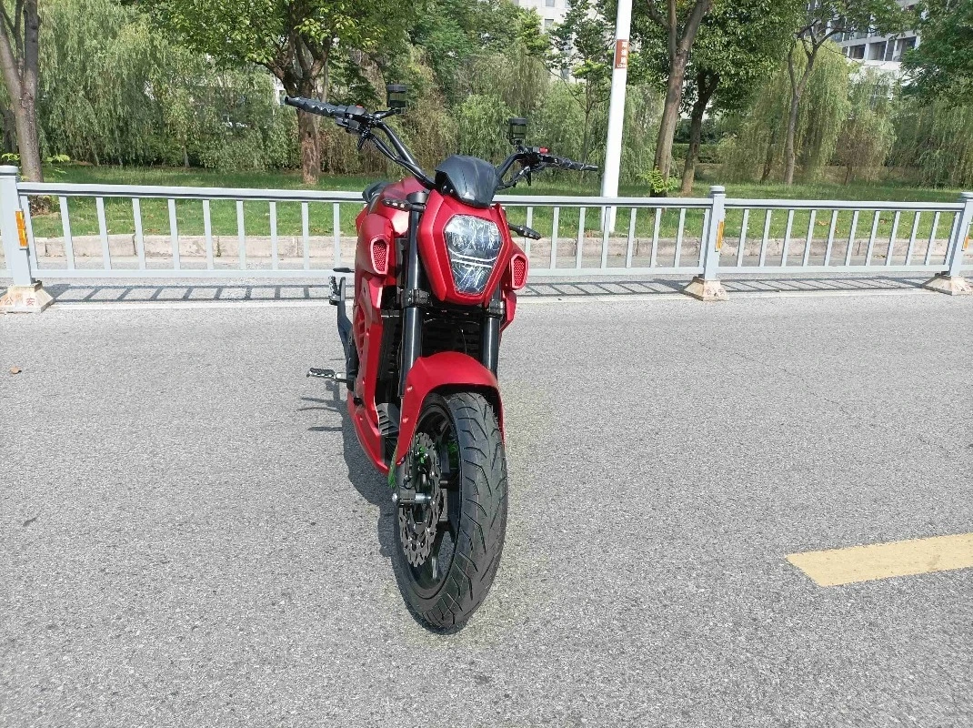 STLF Super Power 8000w Mid Motor Electric Motorcycle for Adults Top Speed 150km Top Range 300km